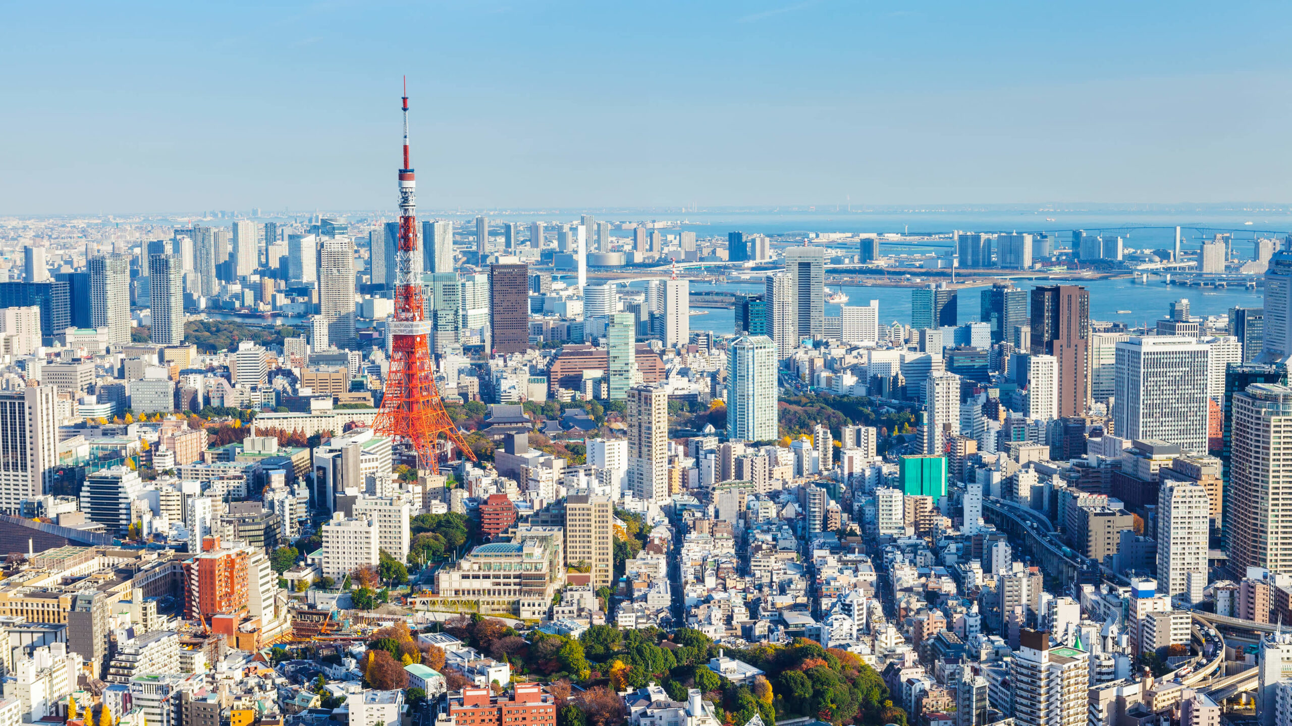 【2026年】東京23区でおすすめしたい矯正歯科10選